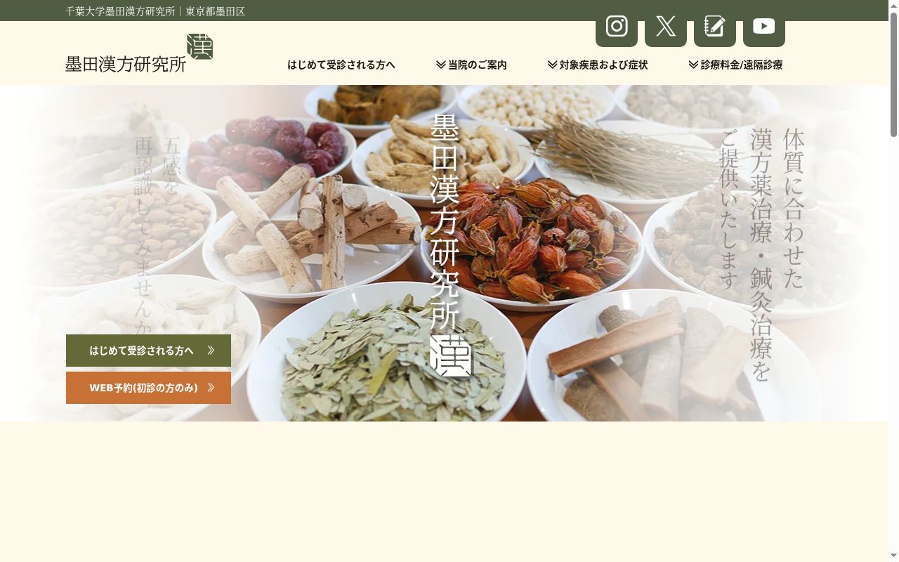千葉大学墨田漢方研究所の公式サイトのスクリーンショット