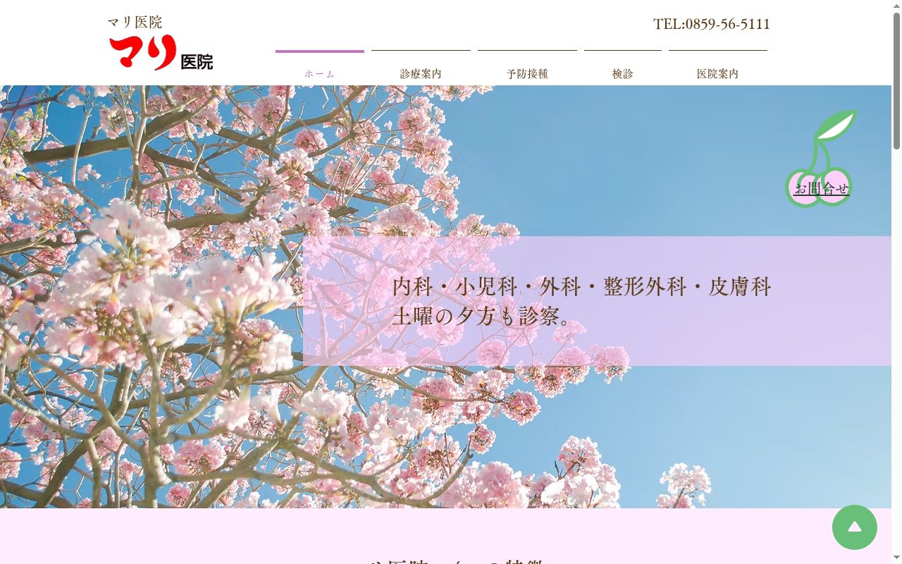 医療法人社団 マリ医院の公式サイトのスクリーンショット