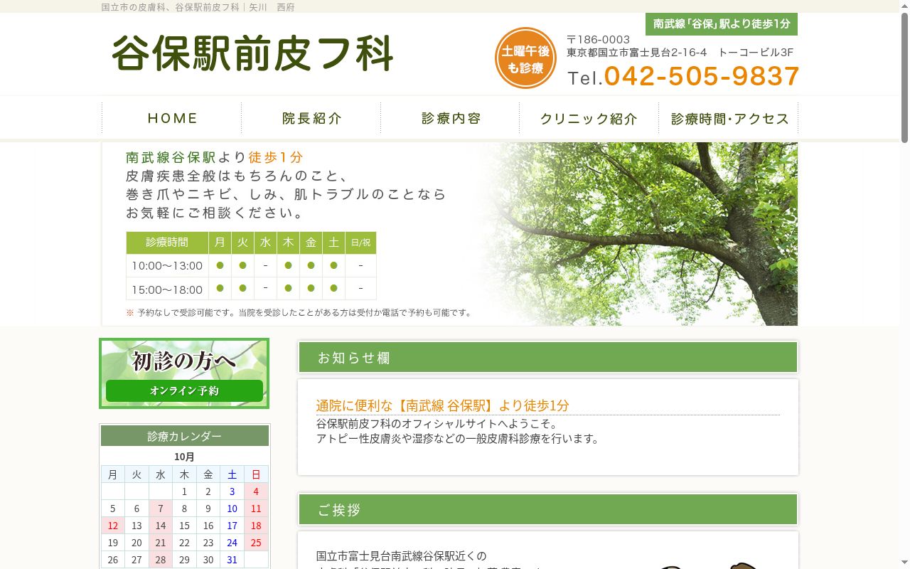 谷保駅前皮フ科の公式サイトのスクリーンショット