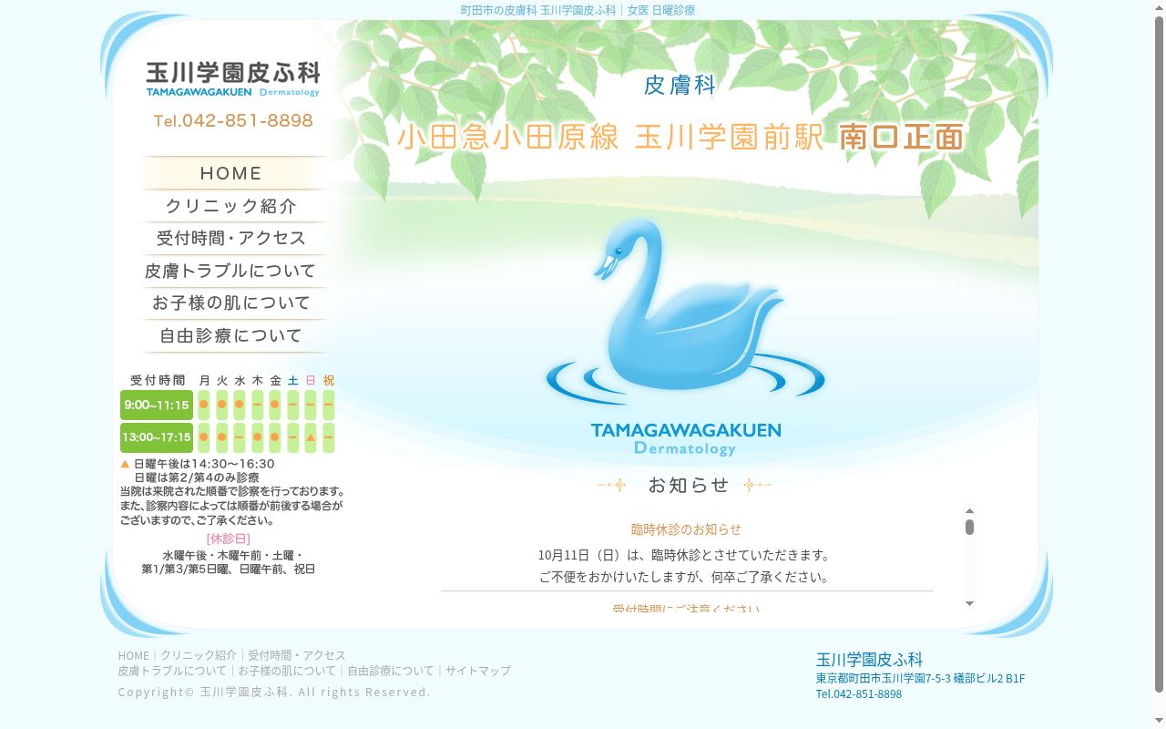 玉川学園皮ふ科の公式サイトのスクリーンショット