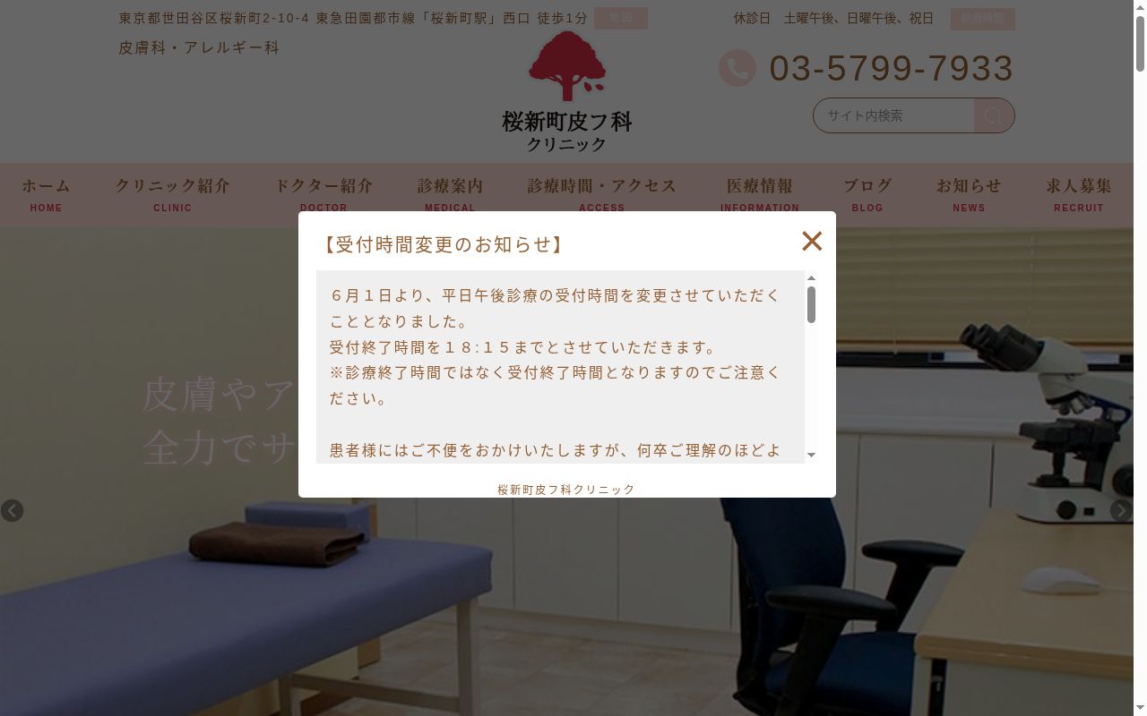 医療法人社団新穂会 桜新町皮フ科クリニックの公式サイトのスクリーンショット
