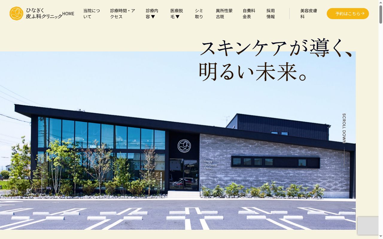 ひなぎく皮ふ科クリニックの公式サイトのスクリーンショット