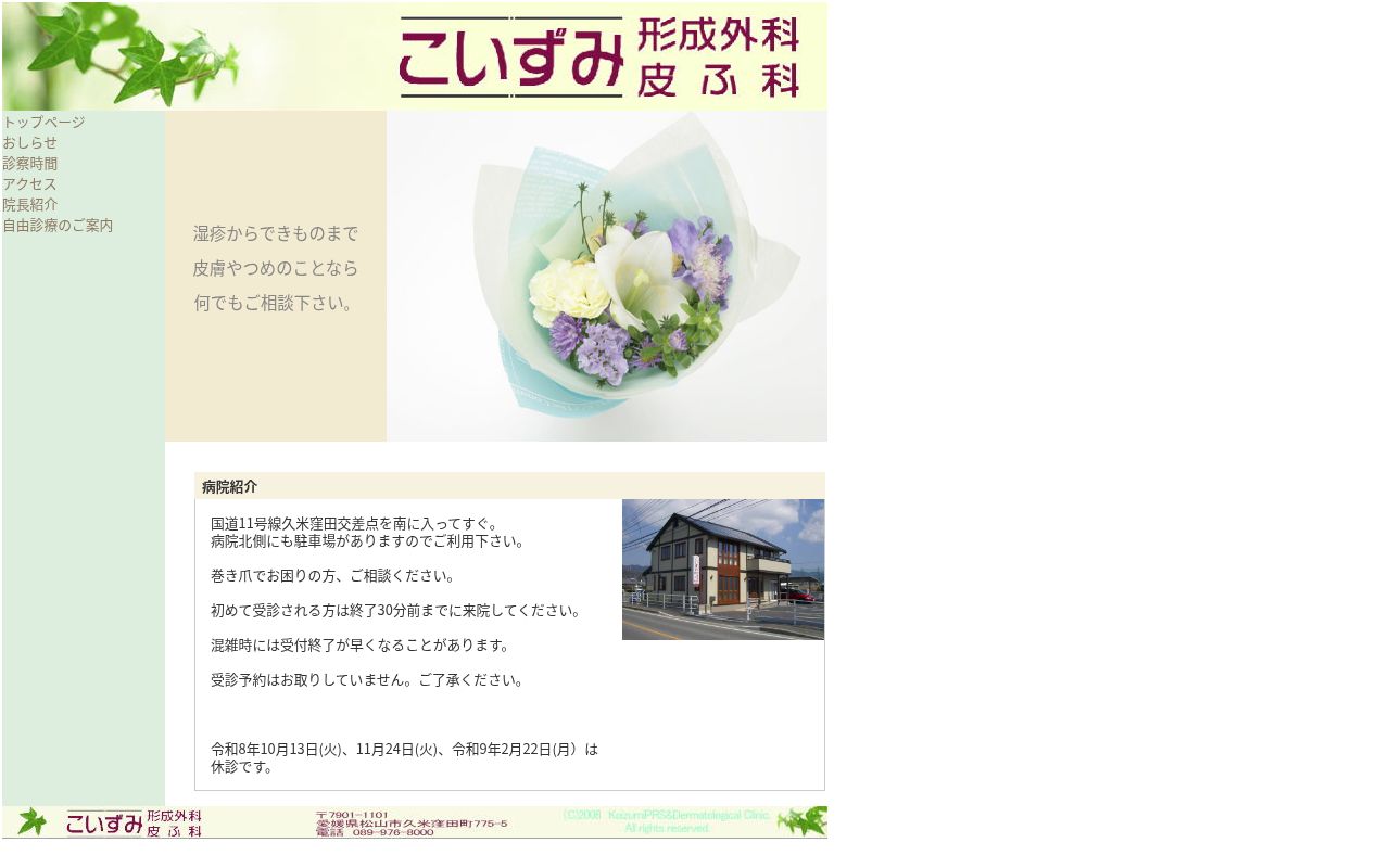 こいずみ形成外科皮ふ科の公式サイトのスクリーンショット